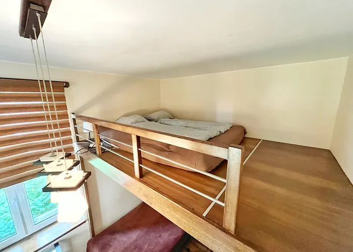 Cozy In Old Town And Wawel Homestay